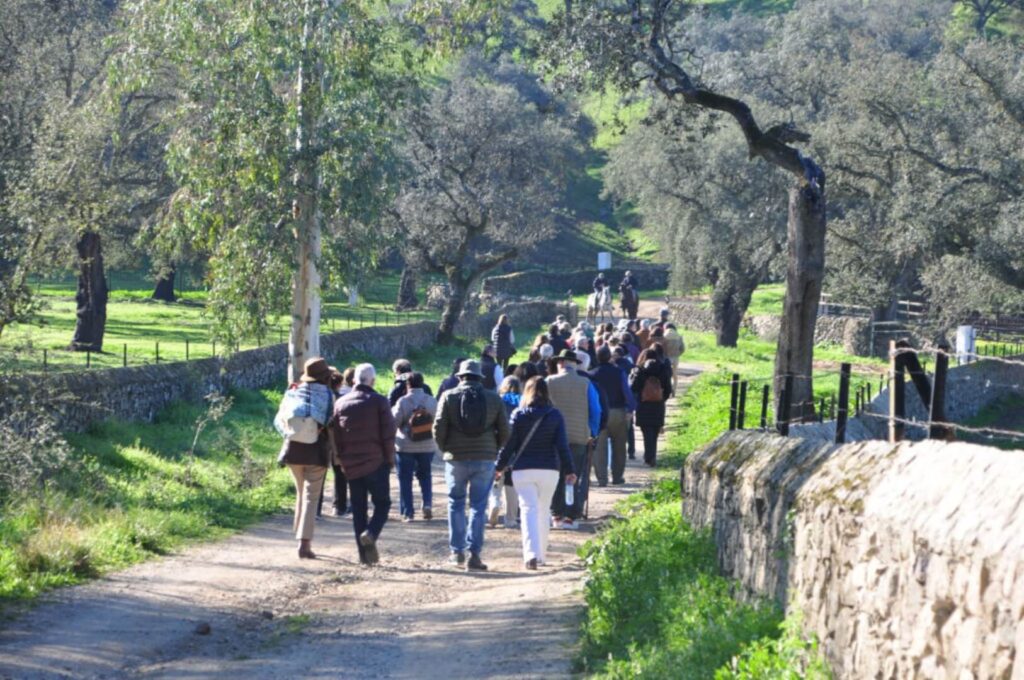 Grupo de personas caminando por un sendero de la finca entre árboles y muros de piedra.